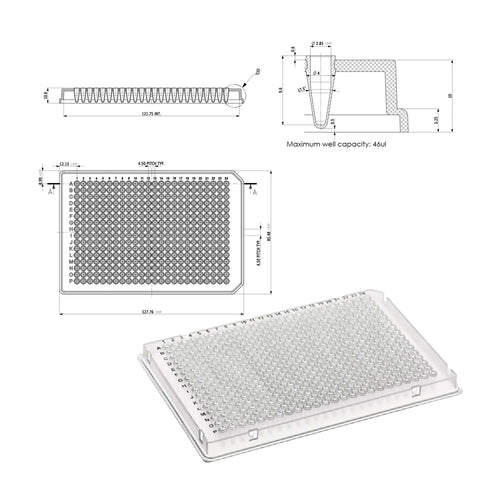 384 PCR Plate (White)