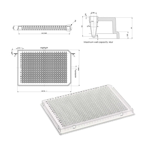 384 PCR Plate (Transparent)