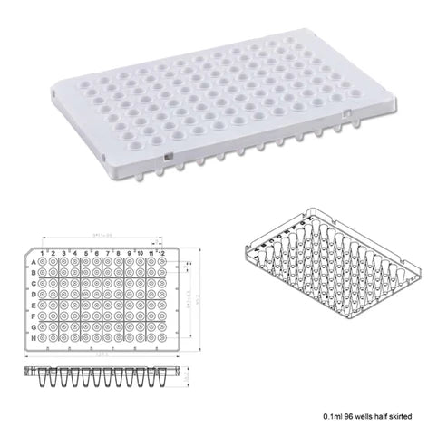 0.1 mL 96 Wells PCR Plate White (Half-Skirted)