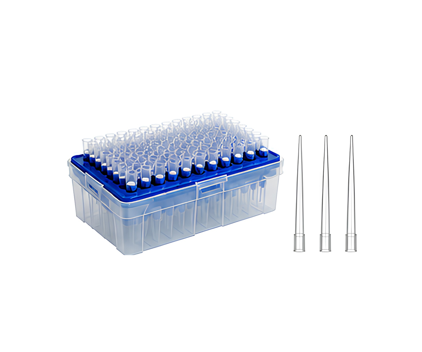 10 μL Universal Filter Tip