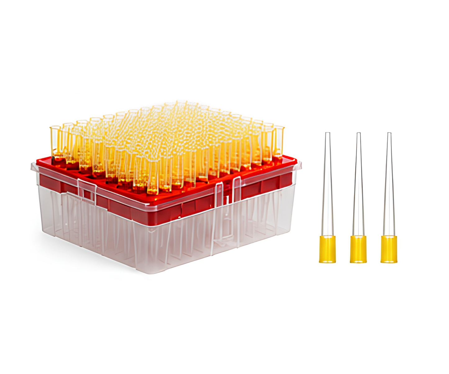 100 μL Universal Filter Tip