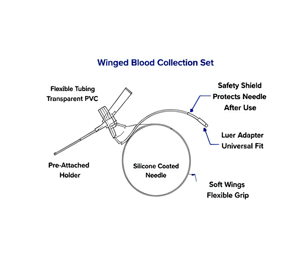 Safety Winged Needle 21g